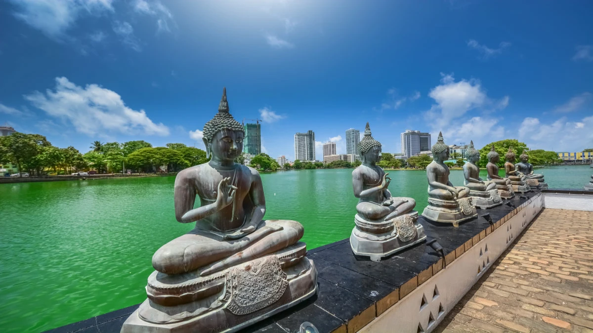 Sri Lanka Cultural and Coastal Circuit