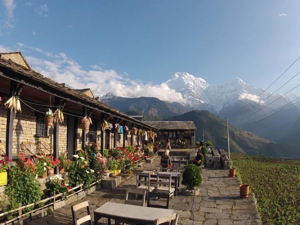 Hotel gurung cottage