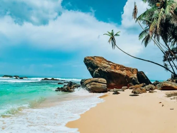Sri Lanka Cultural and Coastal Circuit
