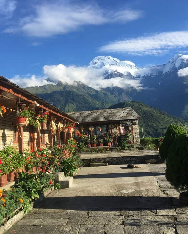 Mardi Himal Trek Nepal